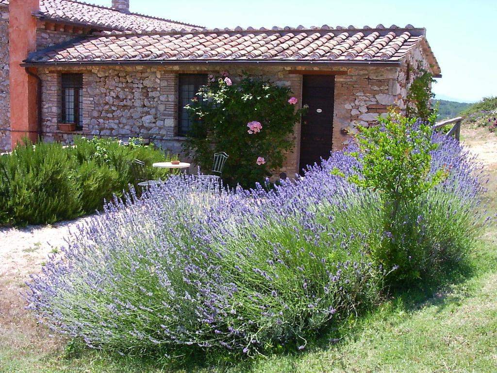Podere Costa Romana Нарни Экстерьер фото
